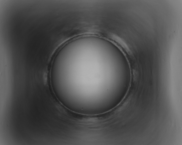 X0000101671260200807101352