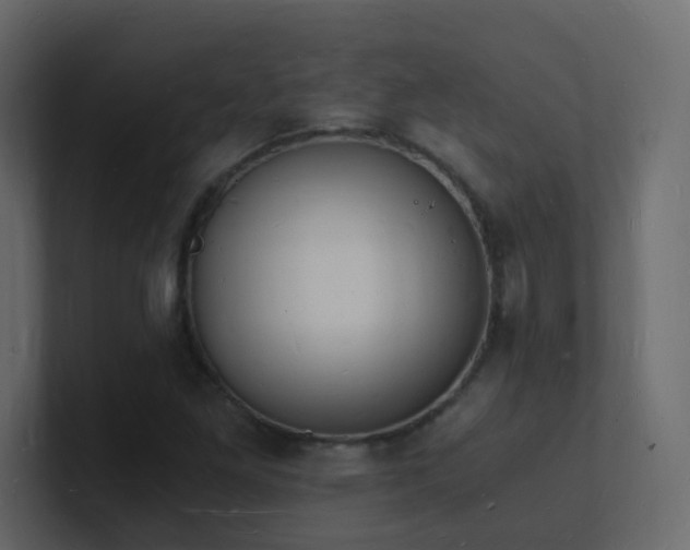 X0000101671261200807101352