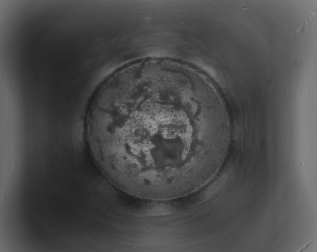 X0000101671263200807101352