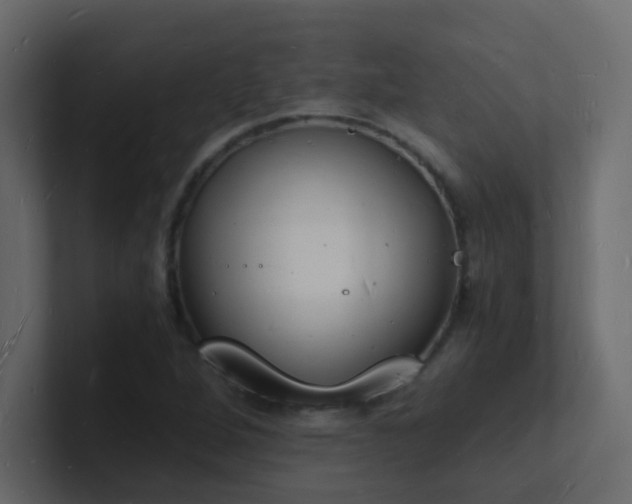 X0000101671264200807101352
