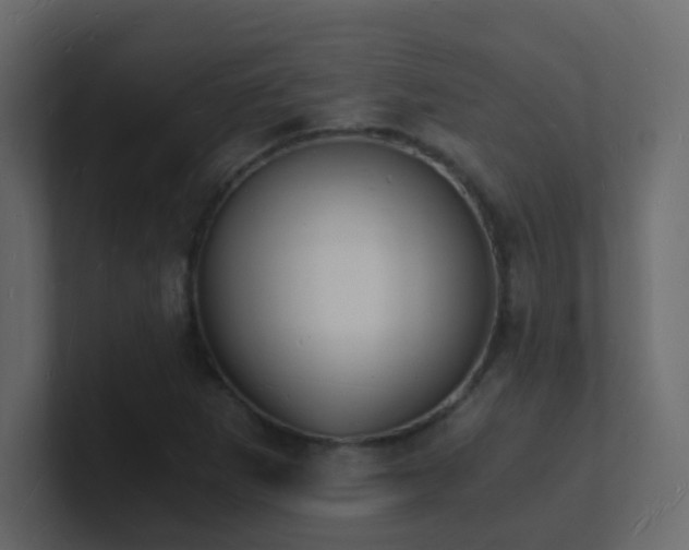 X0000101671265200807101352