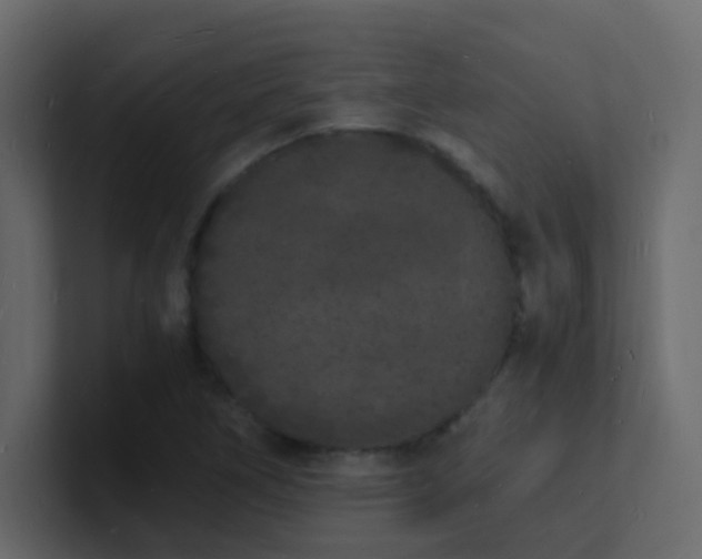 X0000101671266200807101352