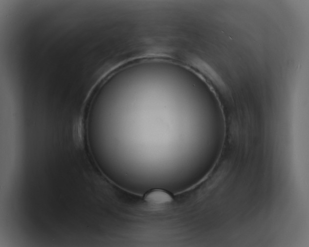 X0000101671268200807101352