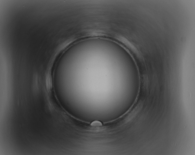 X0000101671269200807101352