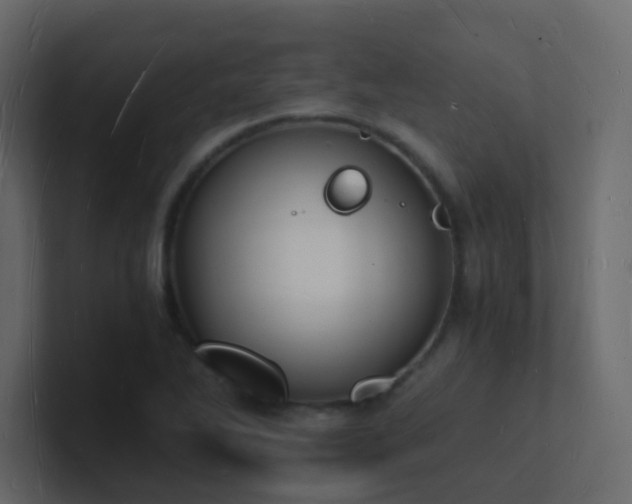 X0000101671270200807101352