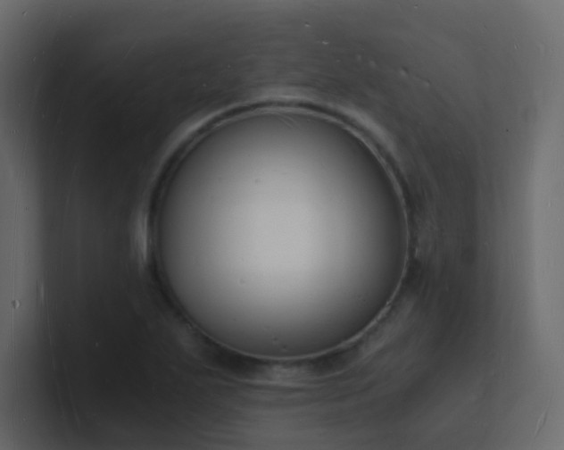 X0000101671271200807101352