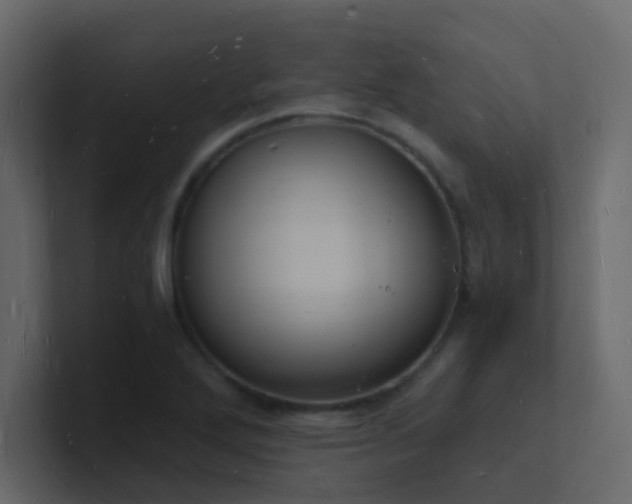 X0000101671272200807101352