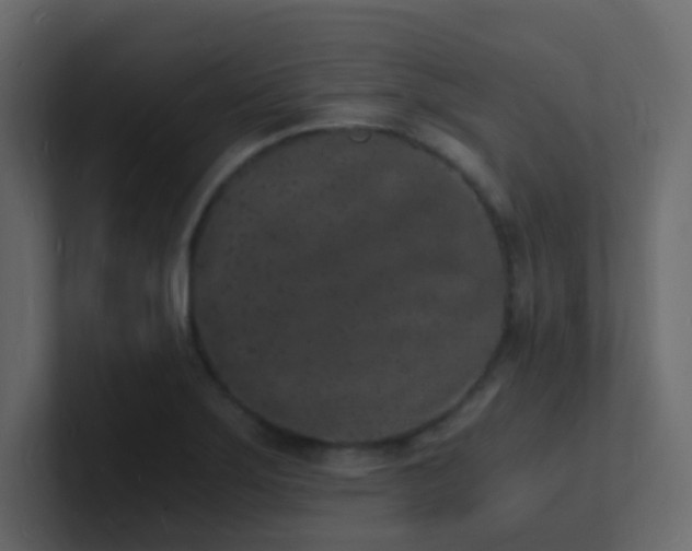 X0000101671275200807101352