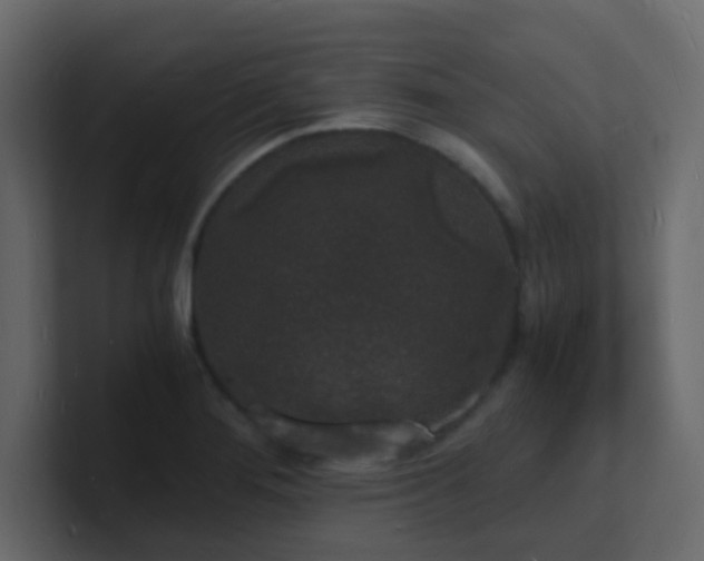 X0000101671276200807101352