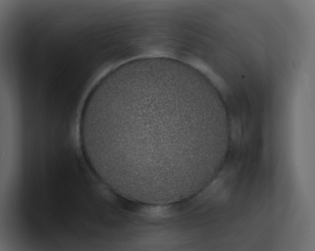 X0000101671278200807101352