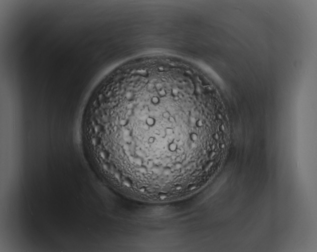 X0000101671279200807101352