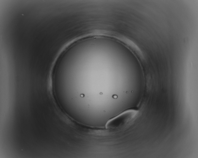 X0000101671280200807101352