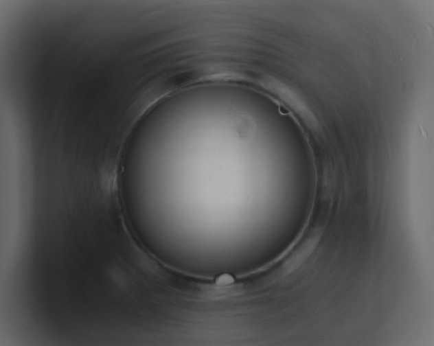 X0000101671281200807101352