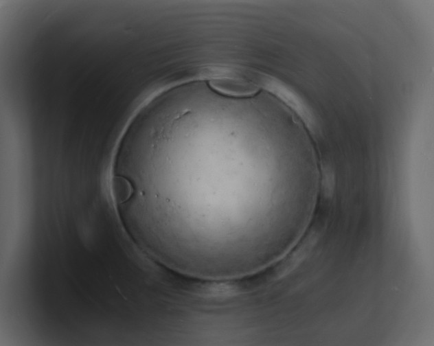 X0000101671283200807101352