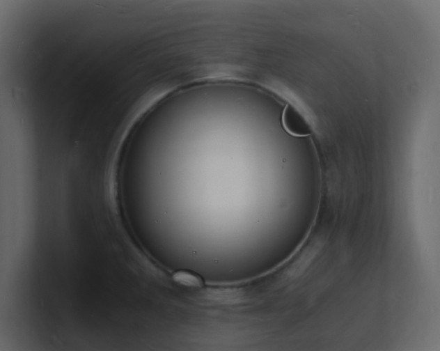X0000101671285200807101352