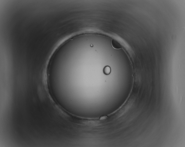 X0000101671287200807101352