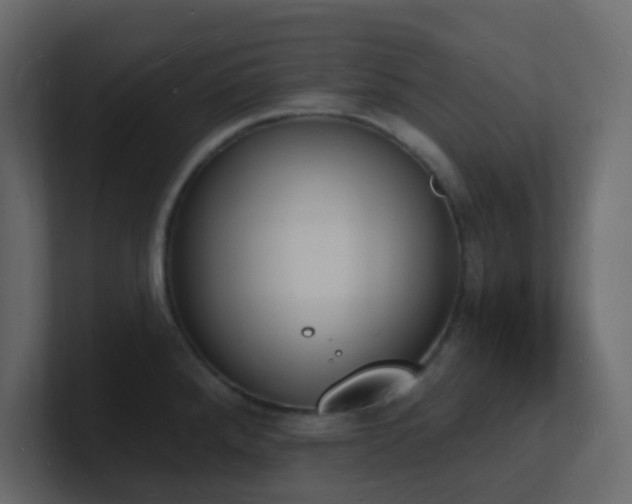 X0000101671288200807101352