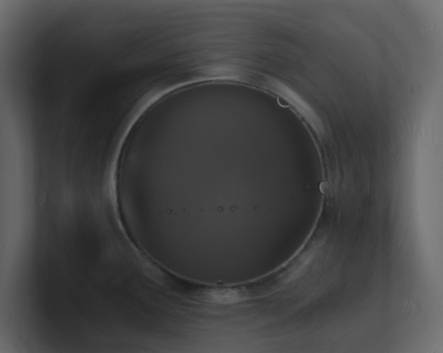 X0000101671291200807101352