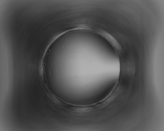 X0000101671292200807101352