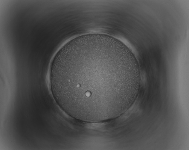 X0000101671294200807101352