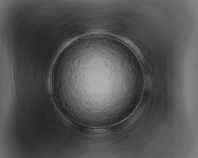 X0000101671295200807101352
