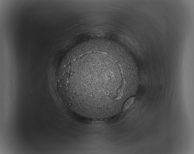 X0000101671297200807101351