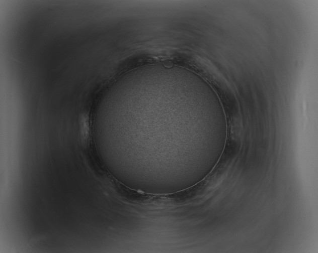 X0000101671298200807101351