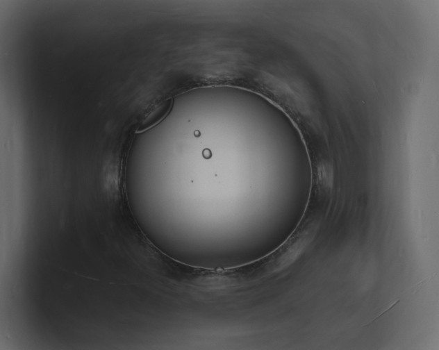 X0000101671300200807101351