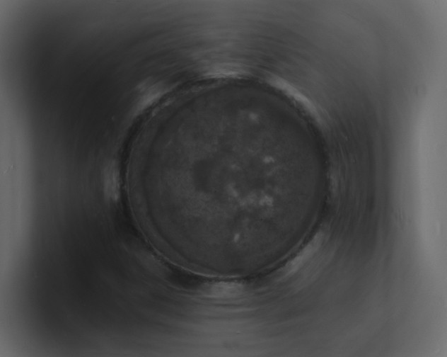 X0000101671306200807101351