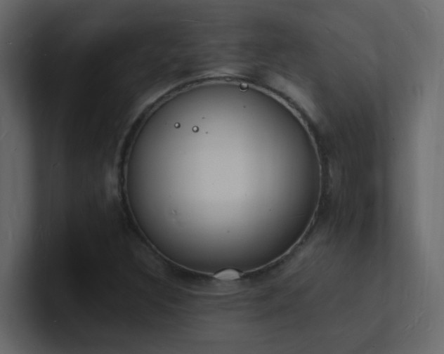 X0000101671308200807101351