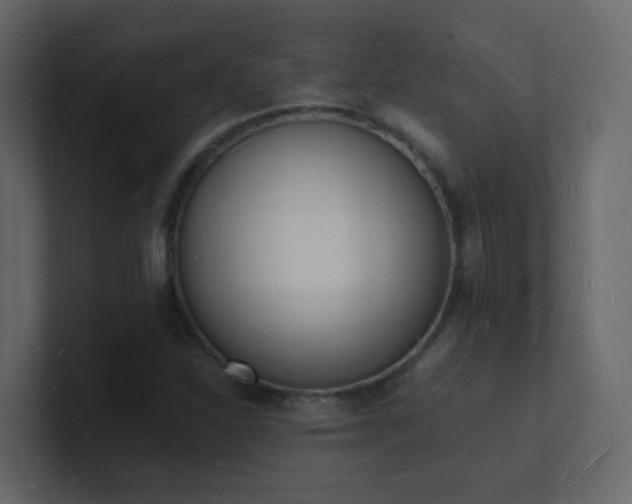 X0000101671310200807101351