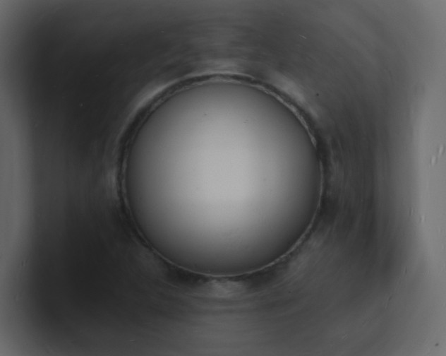 X0000101671312200807101351