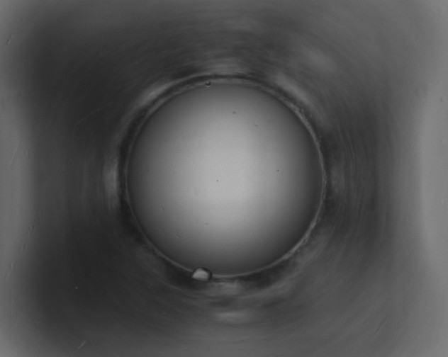 X0000101671315200807101351
