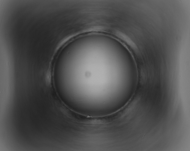 X0000101671316200807101351