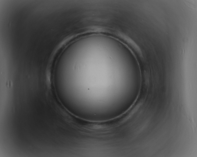 X0000101671318200807101351
