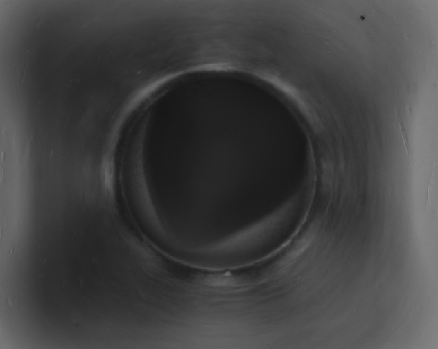 X0000101671319200807101351