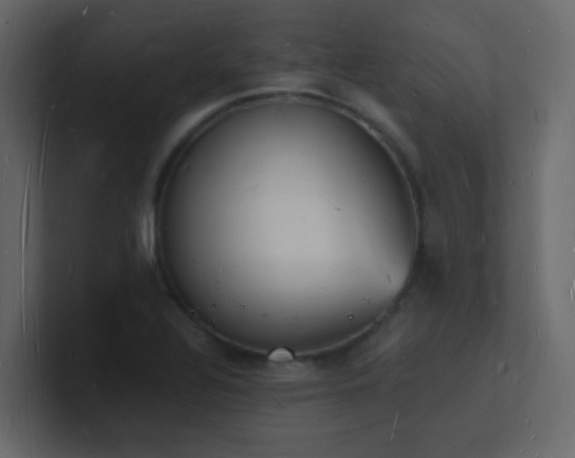 X0000101671320200807101351
