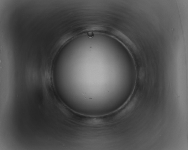 X0000101671321200807101351