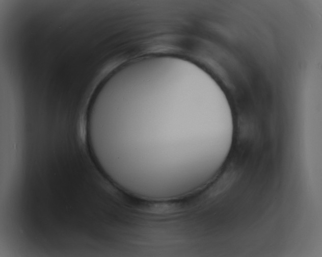 X0000101671322200807101351