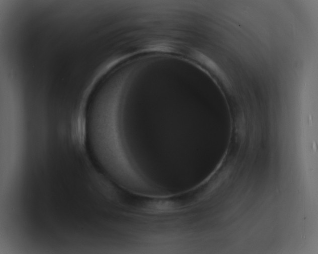 X0000101671323200807101351