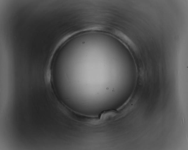 X0000101671324200807101351