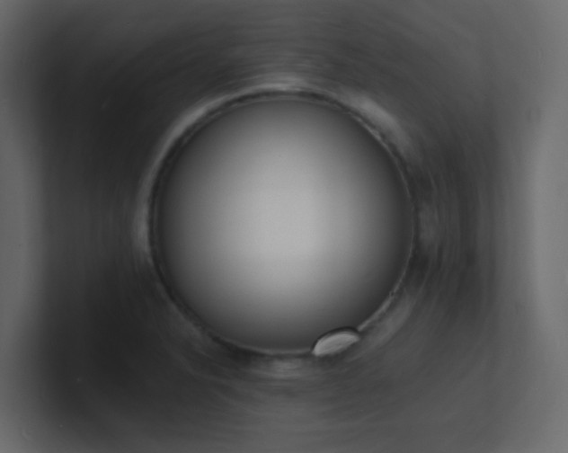 X0000101671326200807101351