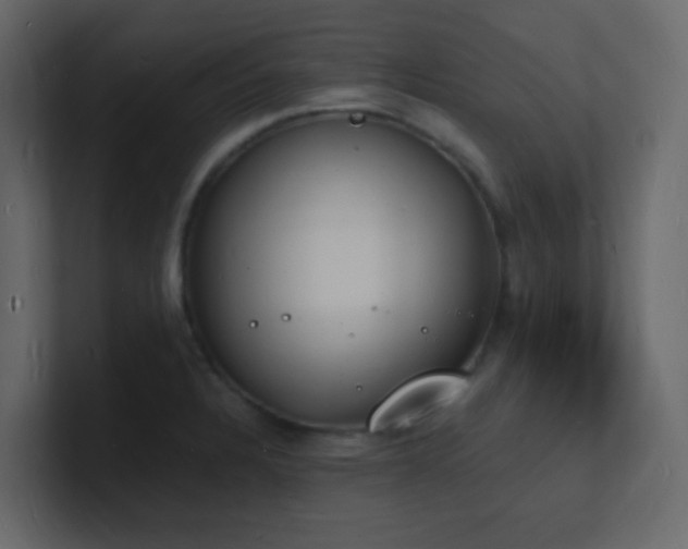 X0000101671328200807101352