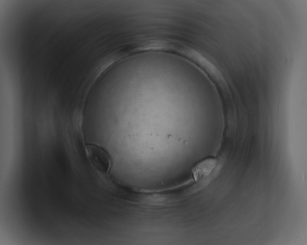 X0000101671329200807101352