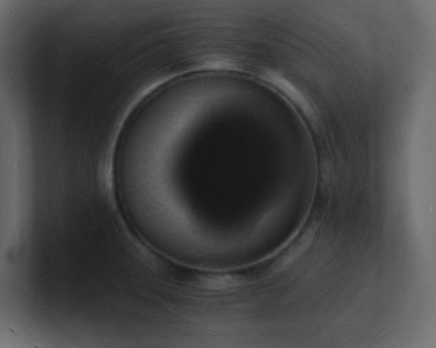 X0000101671331200807101352