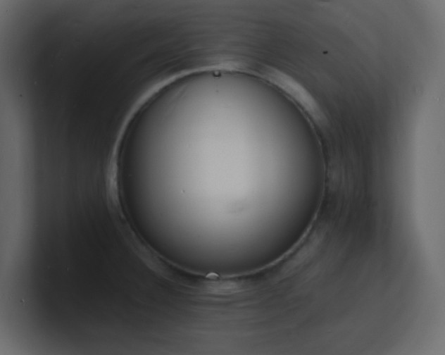X0000101671332200807101352