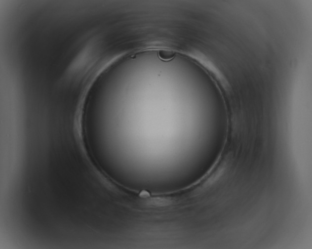 X0000101671333200807101352