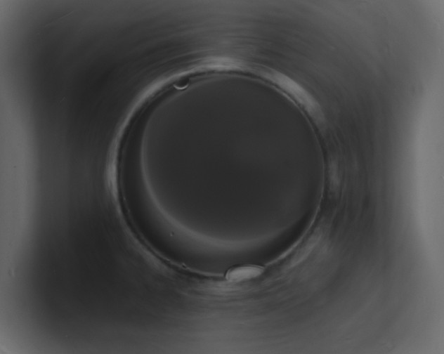 X0000101671334200807101352