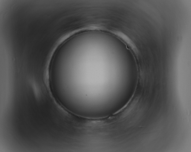 X0000101671335200807101352