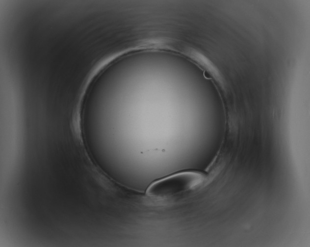 X0000101671336200807101352